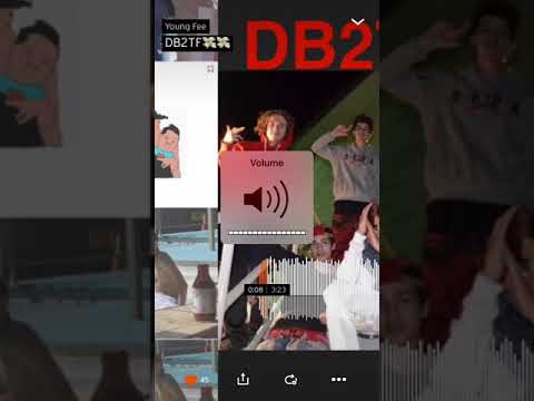 YOUNG FEE “DB2TF”