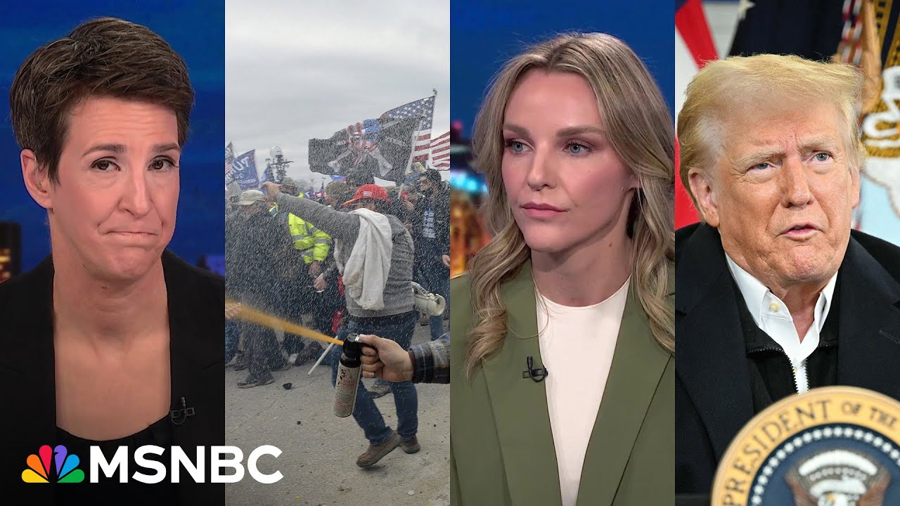 'Appalling': January 6 prosecutor voices outrage at Trump pardoning 'very dangerous people'