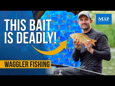 This bait is a GAME CHANGER for Waggler fishing!