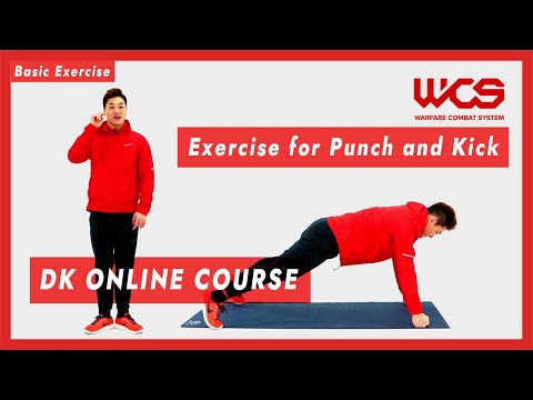 Basic exercise for punch and kick - DK online course | DK Yoo
