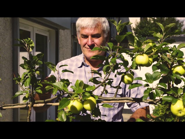 Social Care Worker - TUSLA