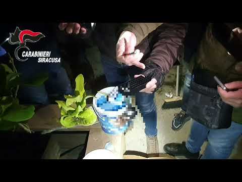 Droga e armi per tutta la città, controlli a tappeto dei carabinieri: i risultati dell’operazione – VIDEO Droga e armi per tutta la città, controlli a tappeto dei carabinieri: i risultati dell’operazione – VIDEO