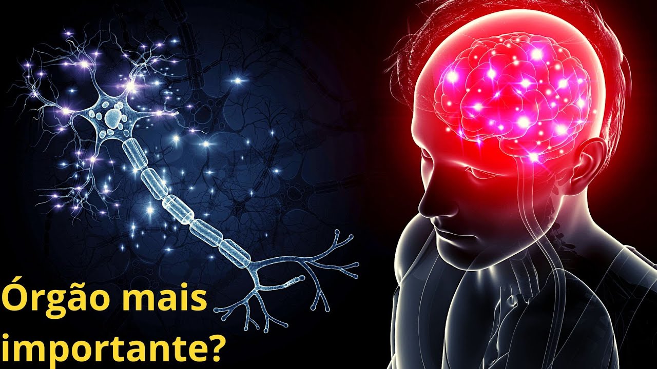 O Mistério do Cérebro: Como ele cria a sua Realidade