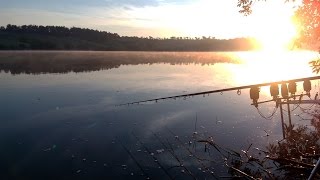 Рыбалка на карпа и амура водоем каиры 2020