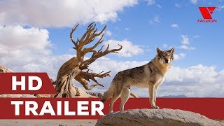 Trailer Preview Image