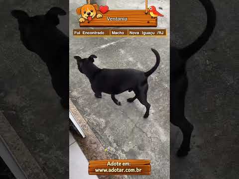 Vídeo de Ventania