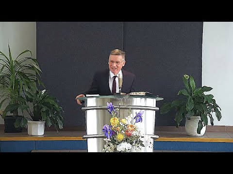 Radivoj Vladisavljević – Vojničkim redom iziđoše...