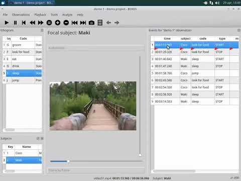 image-Which module is used to capture safety observation details in enablon?