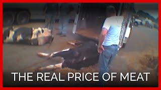 The REAL Price of Meat | One Cow's Heartbreaking Trip to Slaughter