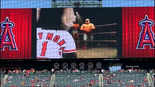 Nacho Libre Angels Rally Monkey movie