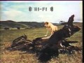 Opening To Old Yeller 1985 VHS