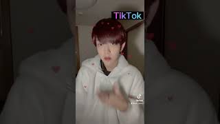 TikTokのエフェクトは凄いな #おすすめ #tiktok #ブラウニー #ダンス