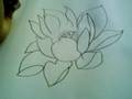 Gongbi Lotus - Outline