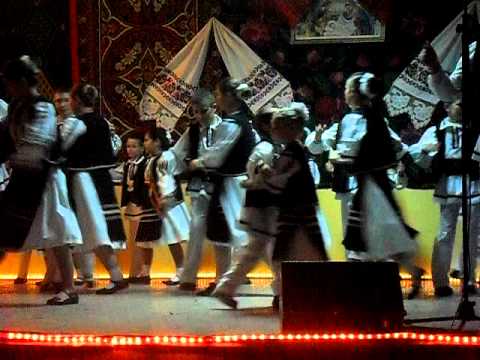 ANSAMBLUL FLORI MURESENE DIN CHETANI