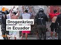 Drogenbosse, Auftragsmorde, Straßenschlachten - Ecuador außer Kontrolle? I auslandsjournal