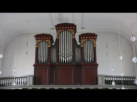 Platzhalter für YouTube Video. Klicken um das Video anzuzeigen. - Orgelführung in St. Martinus