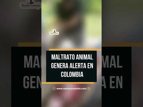 Caso animalista sacude a Bolívar