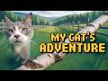 STUNNING Summer Walk Adventure With My CAT In Finnish Countryside