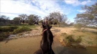 preview picture of video 'Horse riding - Kalbarri National Park, Western Australia'