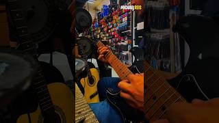 #guitar #song #fender #luthier #guitarist #michaelreis #seiziguitars