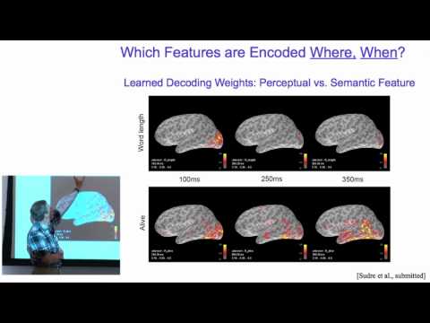 What neural activity encodes about stimuli, where and when