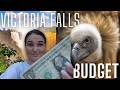 ULTIMATE Victoria Falls Budget GUIDE How To Budget For Victoria Falls