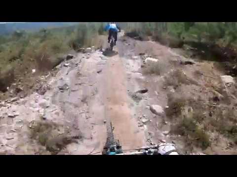 TEST NORCO AURUM HSP