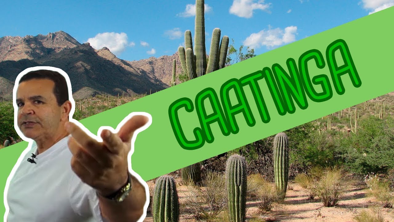 CAATINGA (BIOMAS BRASILEIROS) | Angelo Vieira