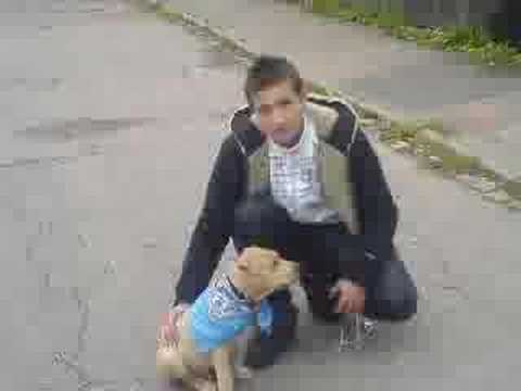 Unikkatil ft Amstaff