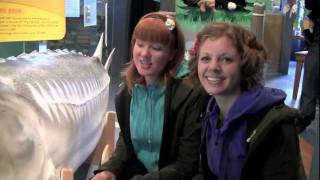 Bobs & LoLo - January 24, 2012