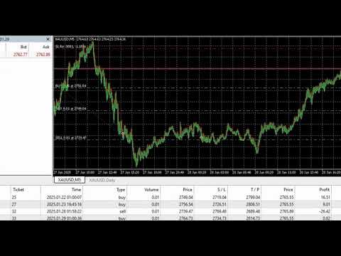 Video SwingBuilder MT5