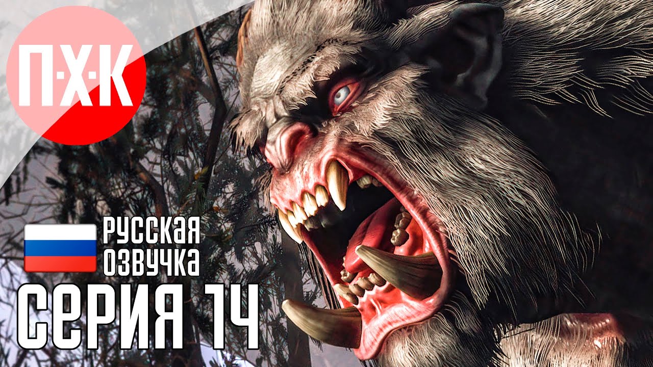 OF ASH AND STEEL Прохождение 14 ᐅ Странник.