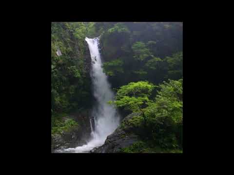 19. code abi - sinuous [10.03.2016]