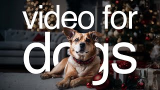 Video For Dogs LIVE - All-Day Entertainment for Your Dog to Watch