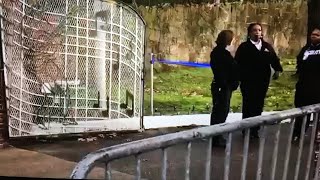 Graceland Security STINKS!! Elvis would be Ashamed. Inspired by Spa Guy. The King’s Court