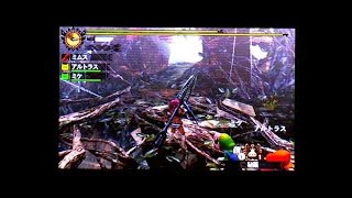 【MH4】実況プレイ【時代を翔ける龍】2PT