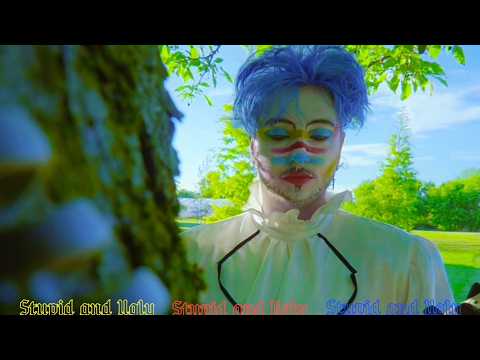 Boy Jr. - Stupid and Ugly (Official Visualizer)