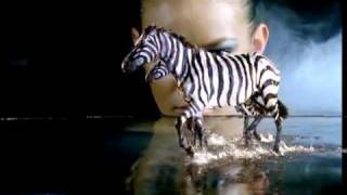 Morandi - Colors [OFFICIAL MUSIC VIDEO]