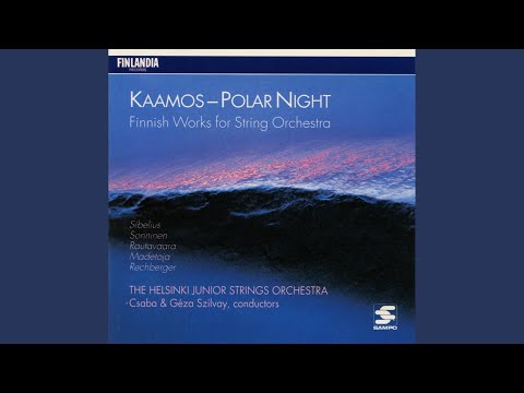 Impromptu for String Orchestra (From Impromptu, Op. 5)