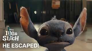 Lilo & Stitch (2025) Video