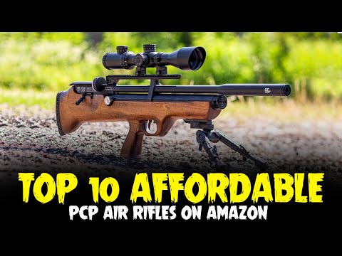 Top 10 Affordable PCP Air Rifles on Amazon - Best Air Rifle for Hunting 2025
