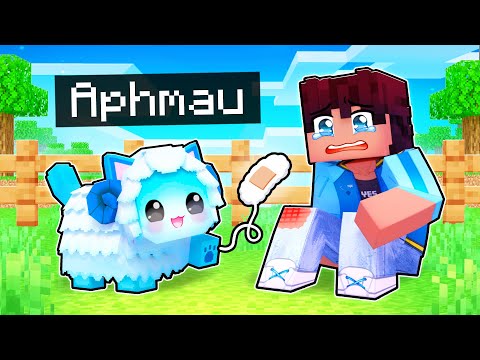 Playing Minecraft as a HELPFUL Sheep Kitten!