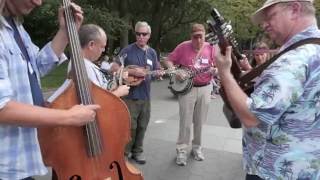 Washington Square Bluegrass and Folk Reunion 2016