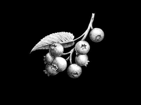 Eric May - BluebERRy (ft. Molina Frosh, GZEE)