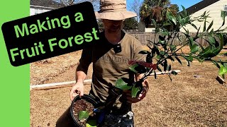 Unleashing Backyard Potential: Filling in the Fruit Forest