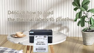 D462B how to load the thermal labels to print?