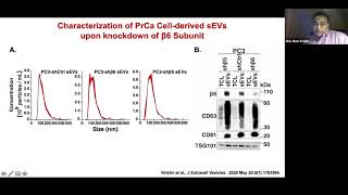 The αvβ6 integrin in cancer cell-derived small EVs enhances angiogenesis by Shiv Ram Krishn