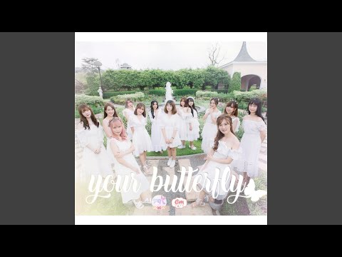 YOUR BUTTERFLY (FMA Parfait)