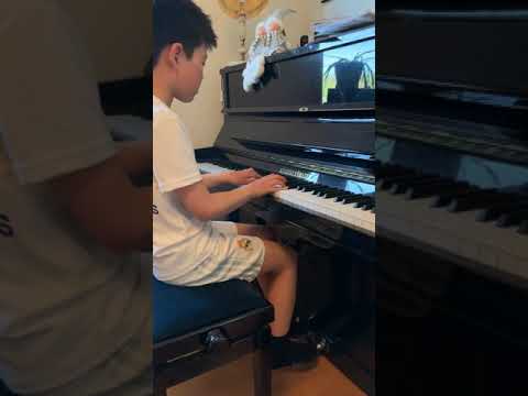 Edvard Grieg - Einsamer Wanderer (performed by Eric Ding 20.05.2020)