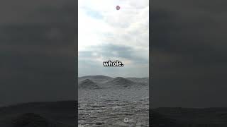 Download lagu Sundaland: Dunia yang Hilang di Bawah Asia Tenggara mp3